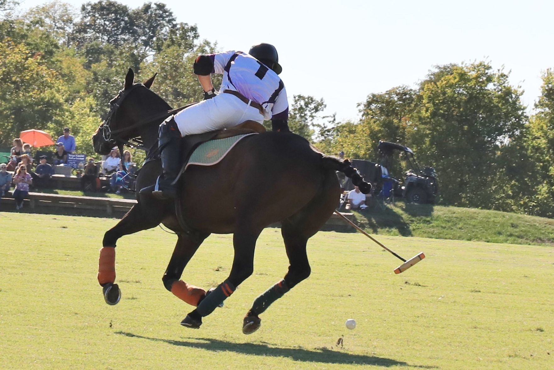 2018-Glennon-Gallop-058.JPG